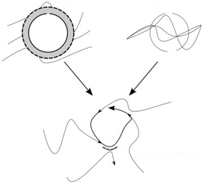 Coenhabiting Interpersonal Inter-Identities in Recurrent Social Interaction